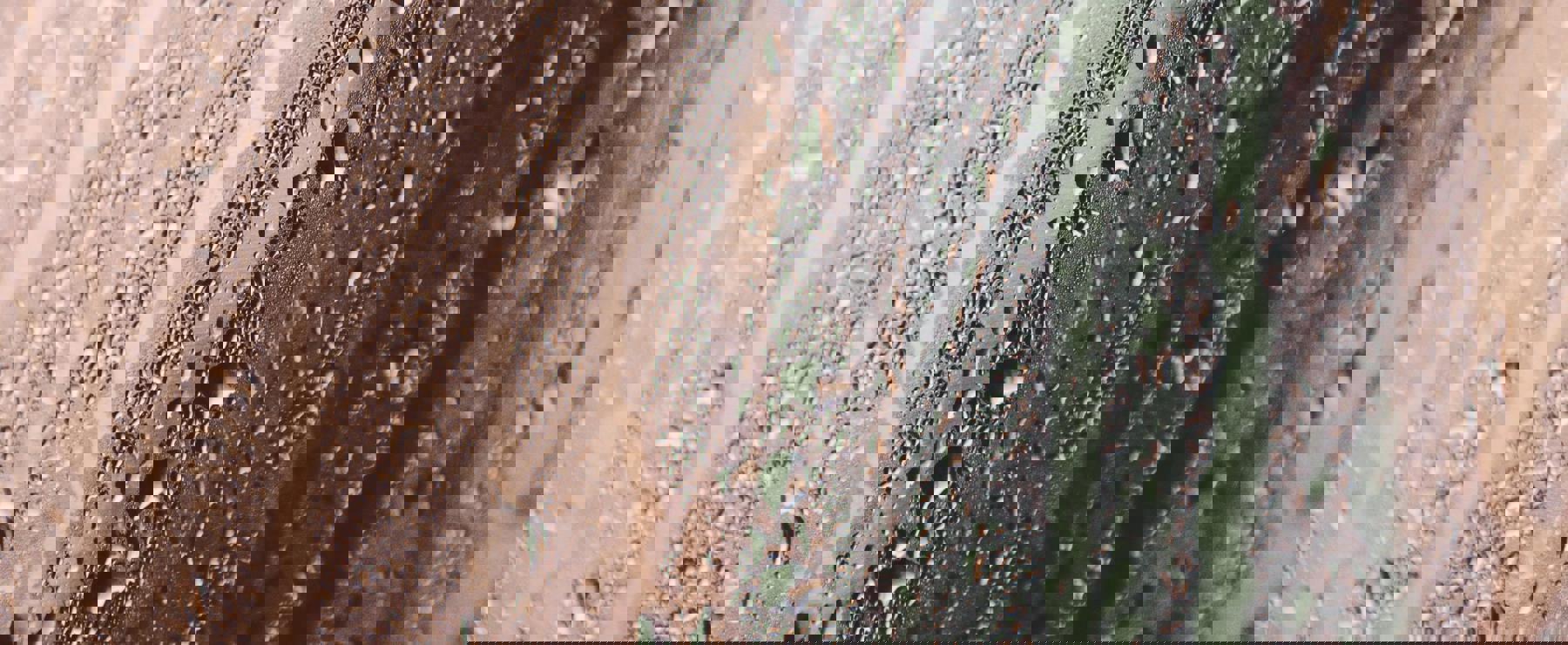 Condensation Cartist 3605367