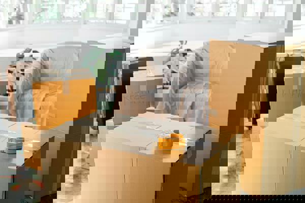 Pexels Ketut Subiyanto 4246119